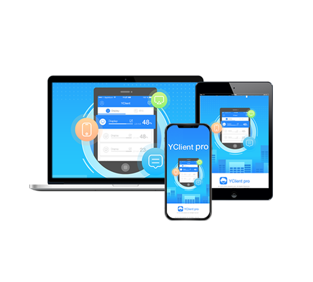 Software Systems Advantage