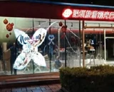 Shenzhen Window of the World Case